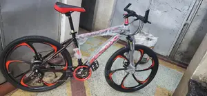 Red and Unisex Beijing Bike