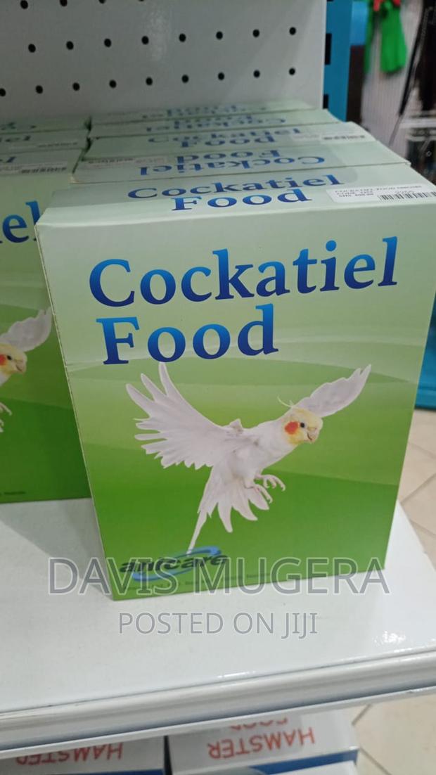 Cockatiel Bird Food 500gms - main view