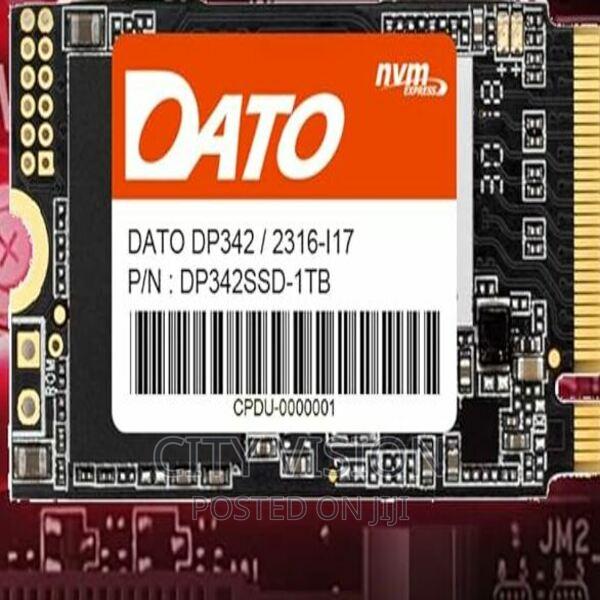 Dato SSD 1tb M.2 Nvme 2230