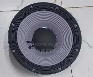 JBL 12inch Naked Speaker