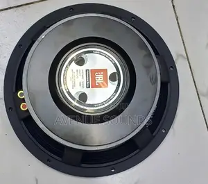 JBL 12inch Naked Speaker