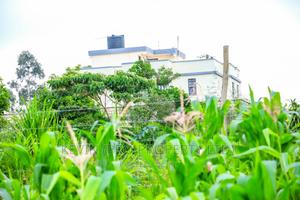 Prime Residential Plot for Sale in Kikuyu, Kamangu. - thumbnail 2