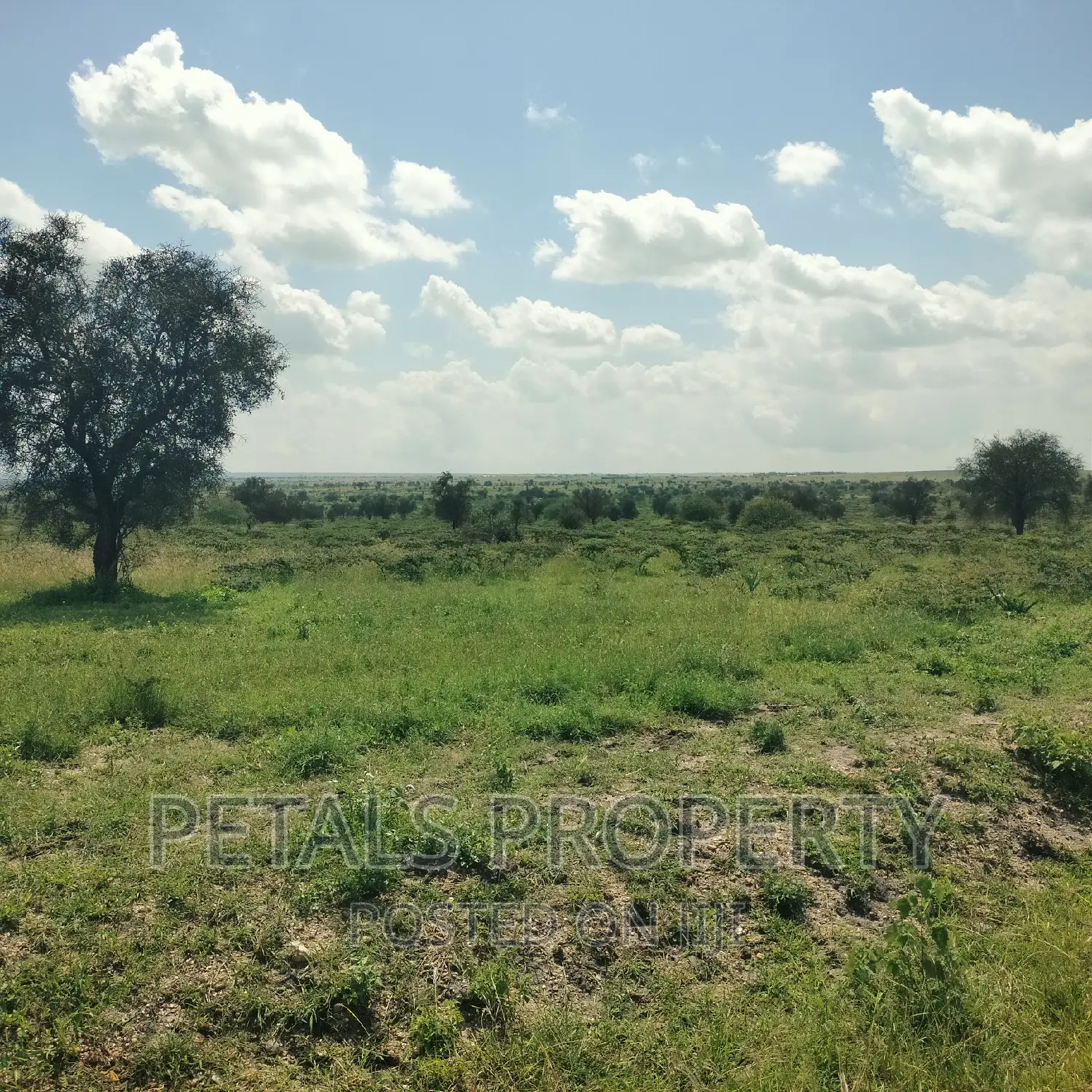 200 Acres for Sale in Isinya,Kajiado