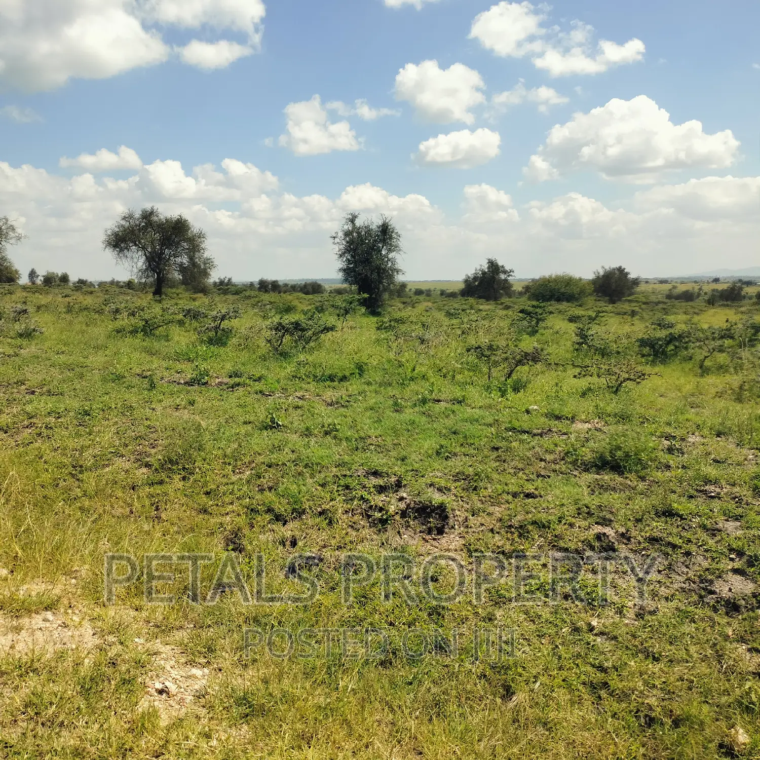 200 Acres for Sale in Isinya,Kajiado