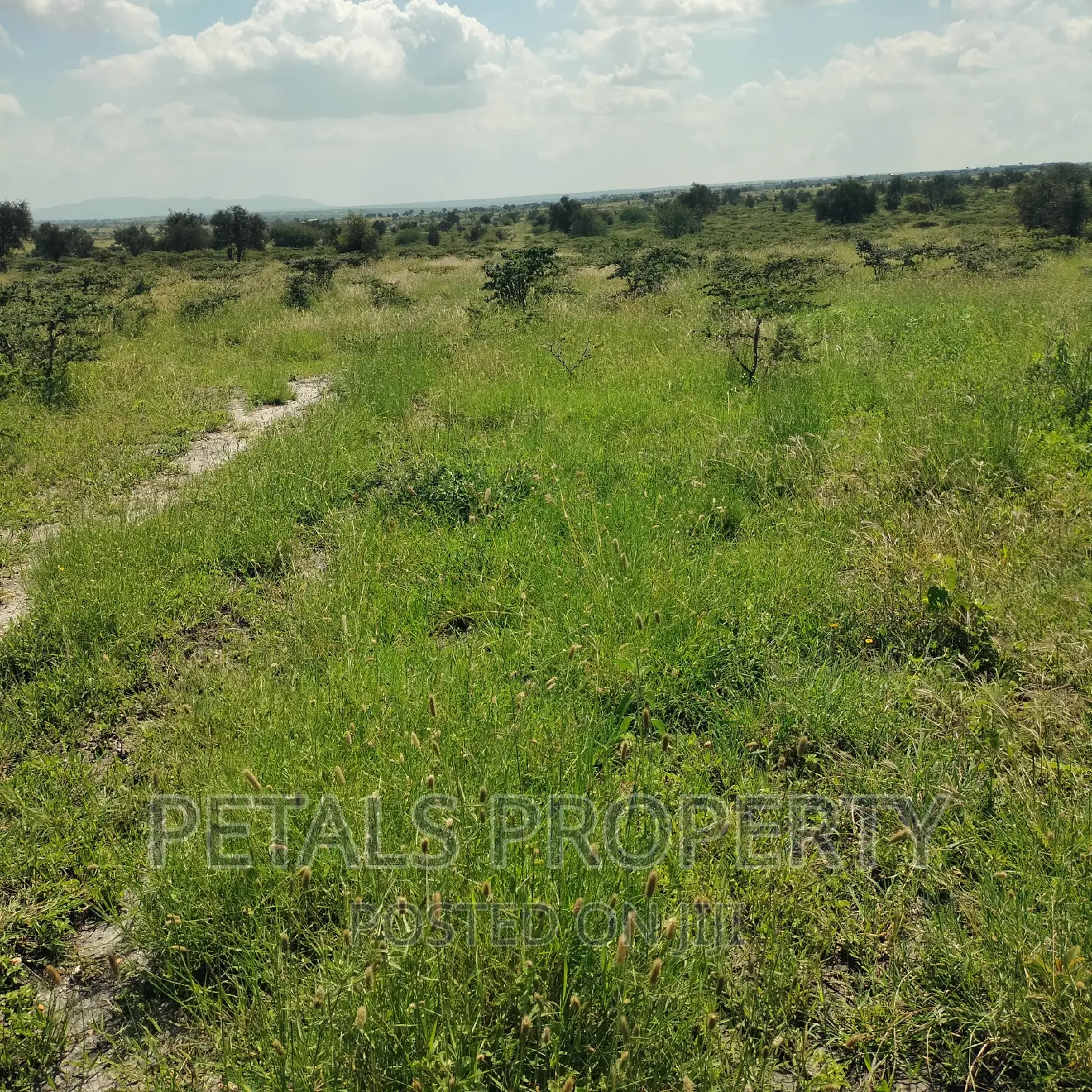 200 Acres for Sale in Isinya,Kajiado