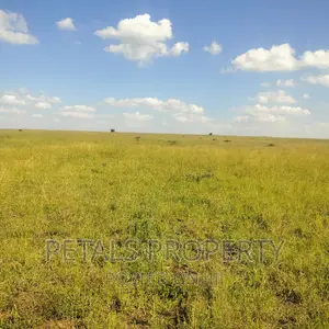 80 Acres for Sale in Kajiado