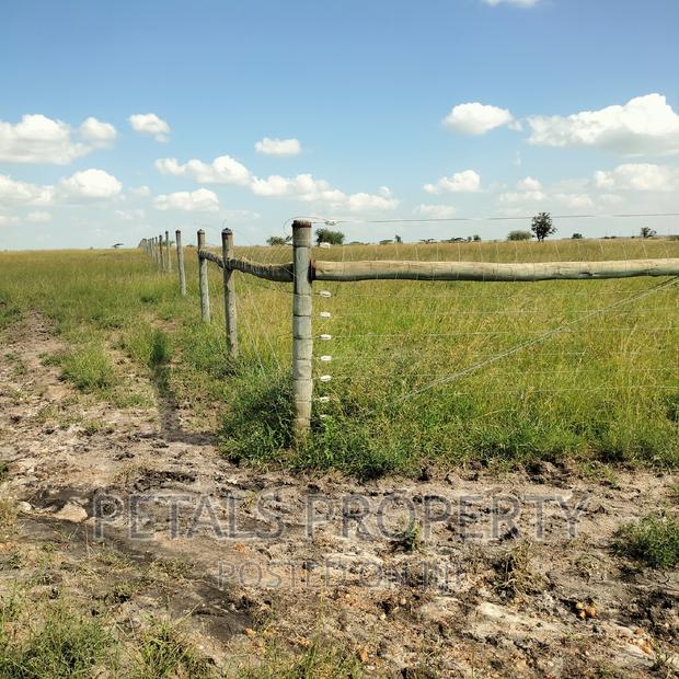 80 Acres for Sale in Kajiado - thumbnail 3