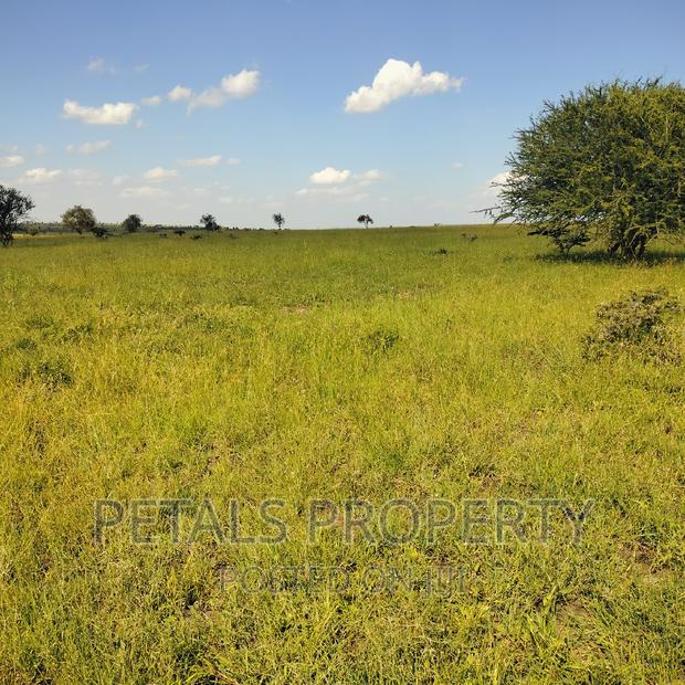 80 Acres for Sale in Kajiado - thumbnail 5