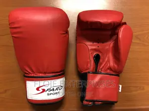 Boxing Gloves 12 Oz