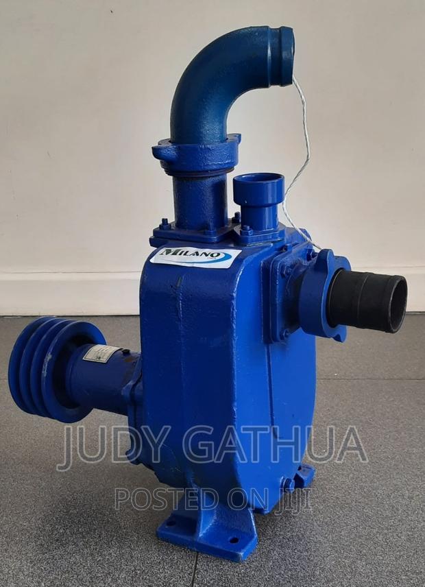 2"Pump Max Height 55mtr