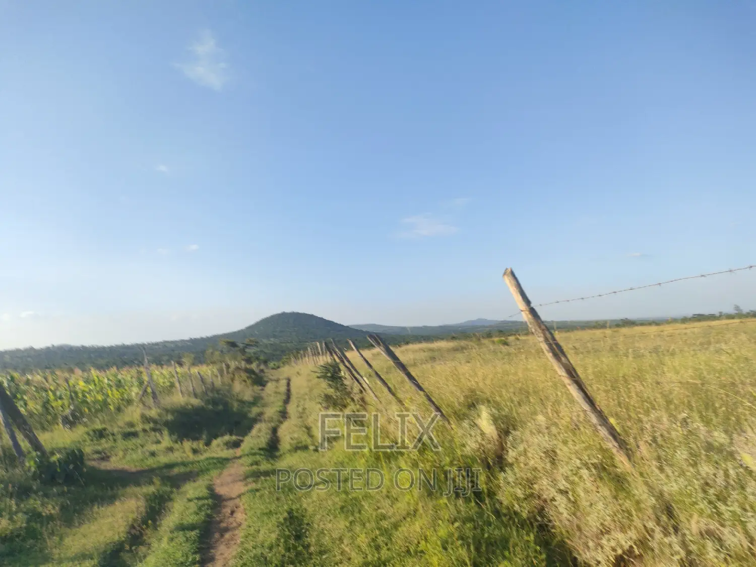 Nyeri/Mweiga Jikaze 1.5 Acre