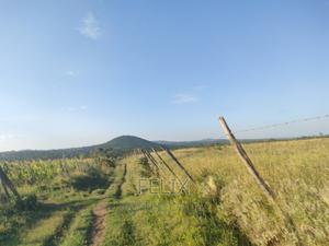 Nyeri/Mweiga Jikaze 1.5 Acre