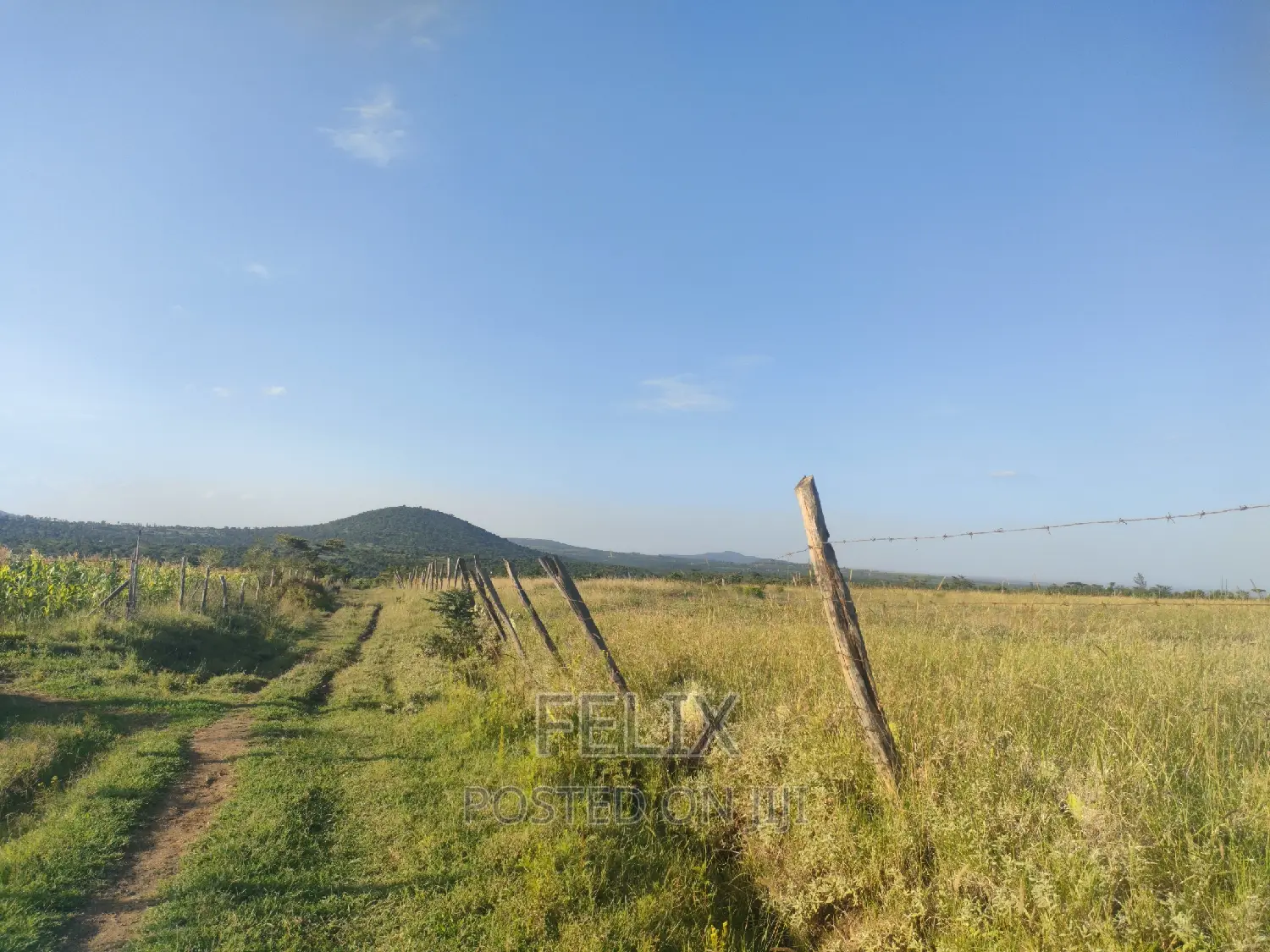 Nyeri/Mweiga Jikaze 1.5 Acre