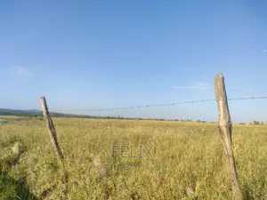 Nyeri/Mweiga Jikaze 1.5 Acre