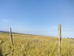 Nyeri/Mweiga Jikaze 1.5 Acre