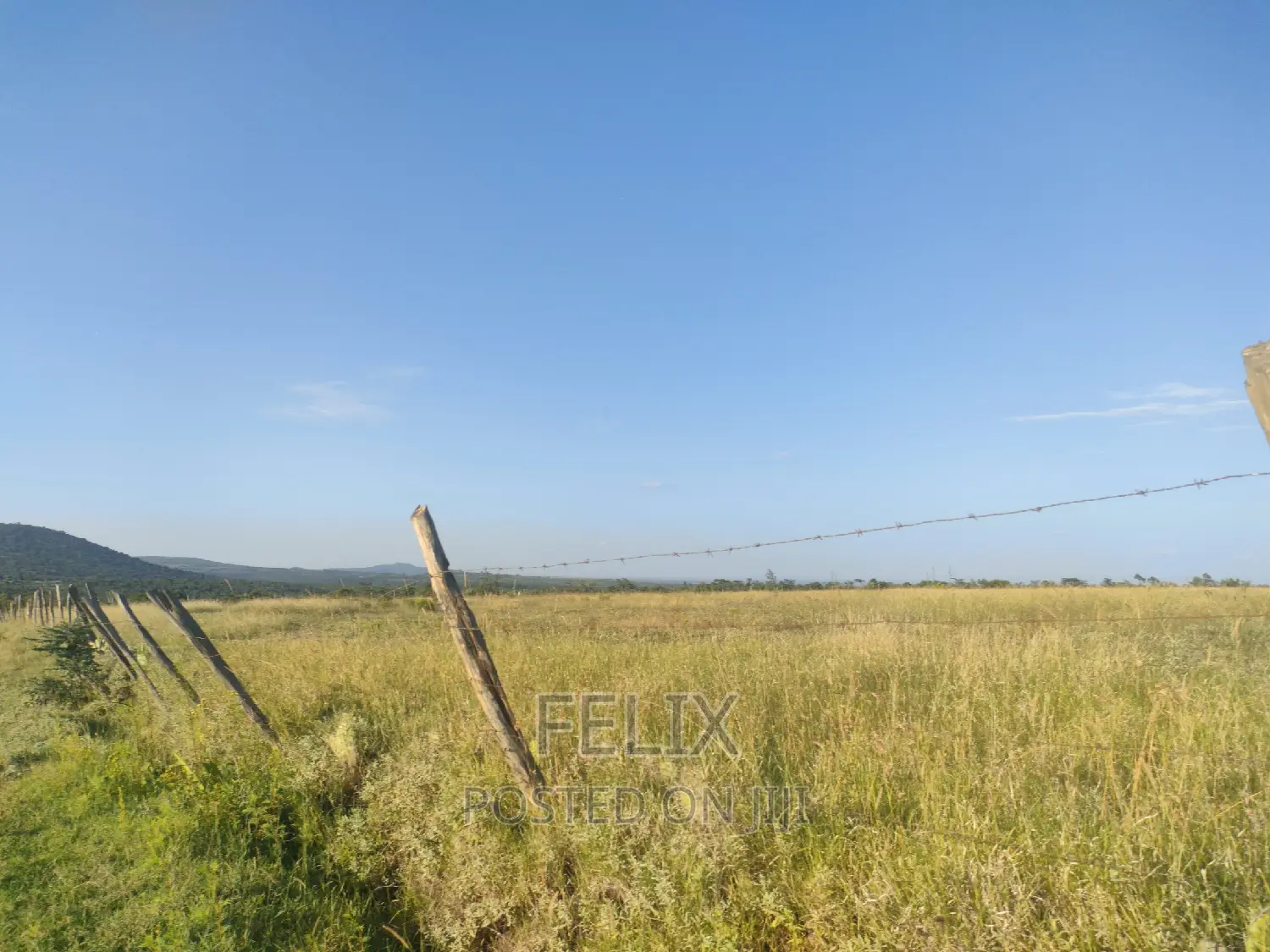 Nyeri/Mweiga Jikaze 1.5 Acre