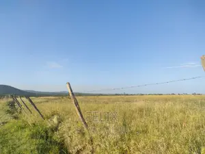 Nyeri/Mweiga Jikaze 1.5 Acre