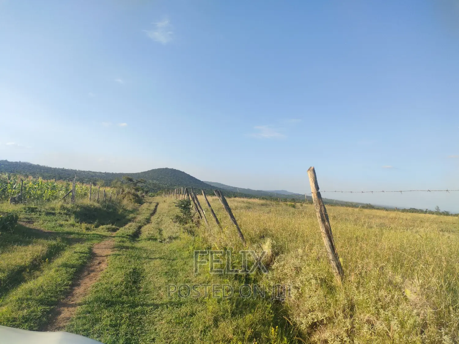 Nyeri/Mweiga Jikaze 1.5 Acre