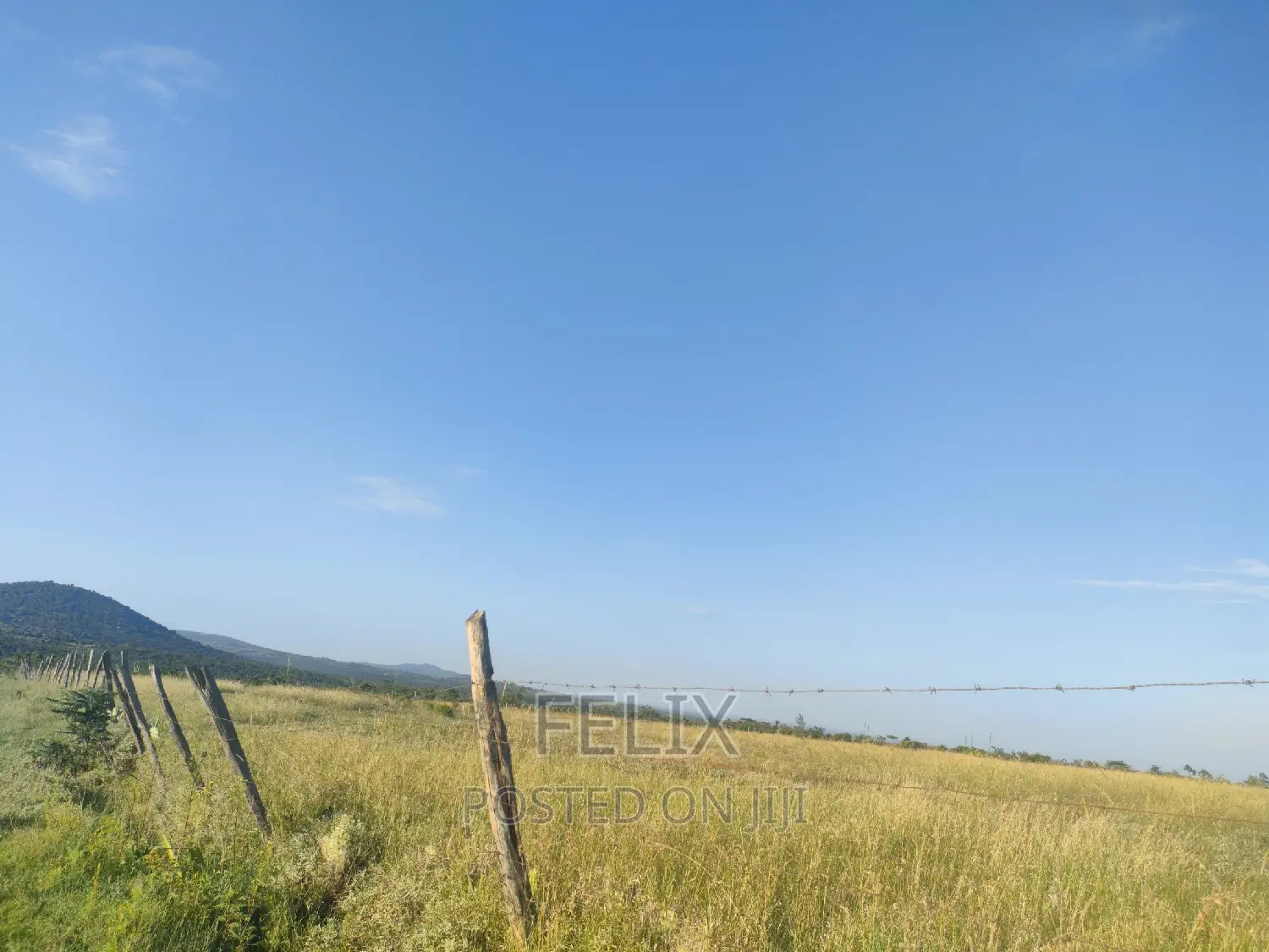 Nyeri/Mweiga Jikaze 1.5 Acre