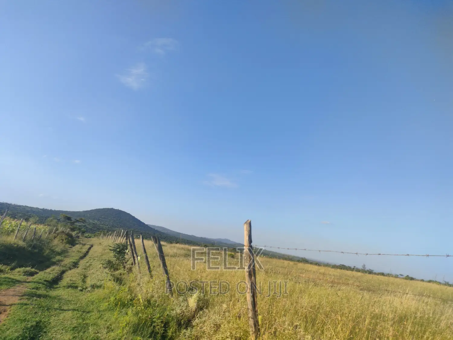 Nyeri/Mweiga Jikaze 1.5 Acre