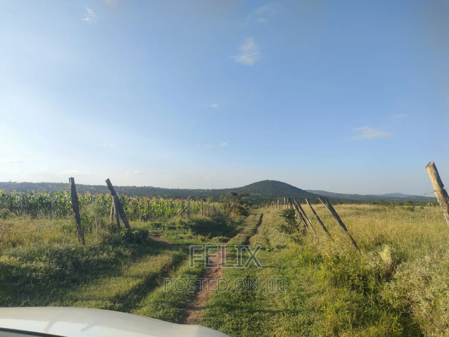 Nyeri/Mweiga Jikaze 1.5 Acre