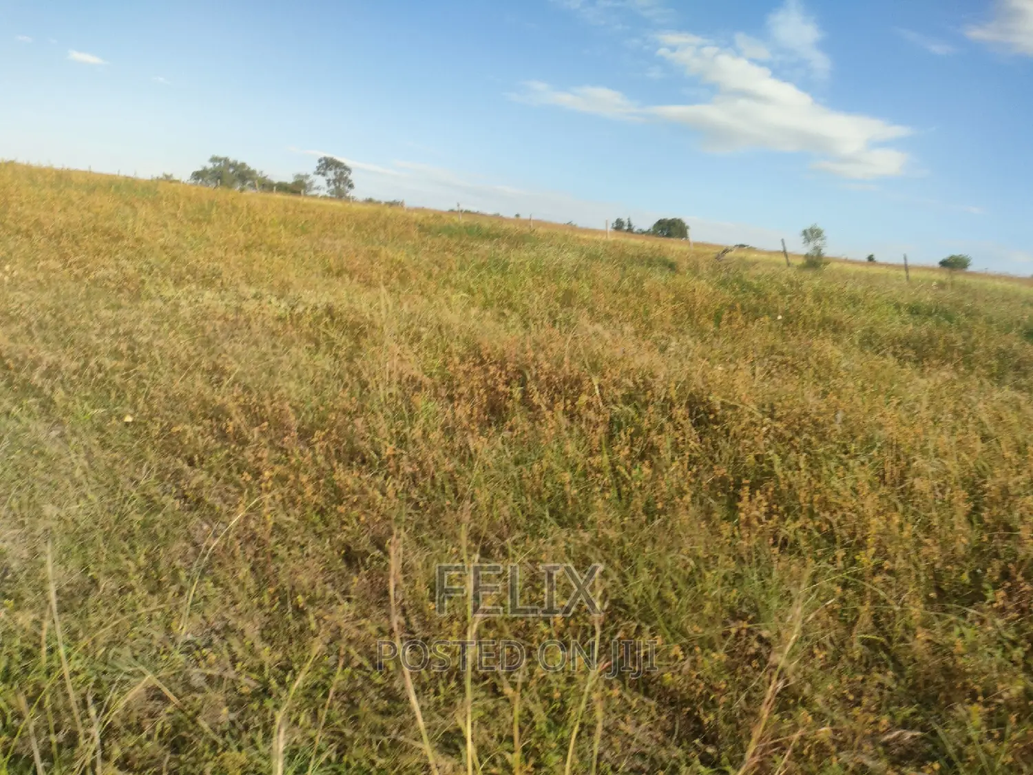 Mweiga/ Kanyagia 3 Acres