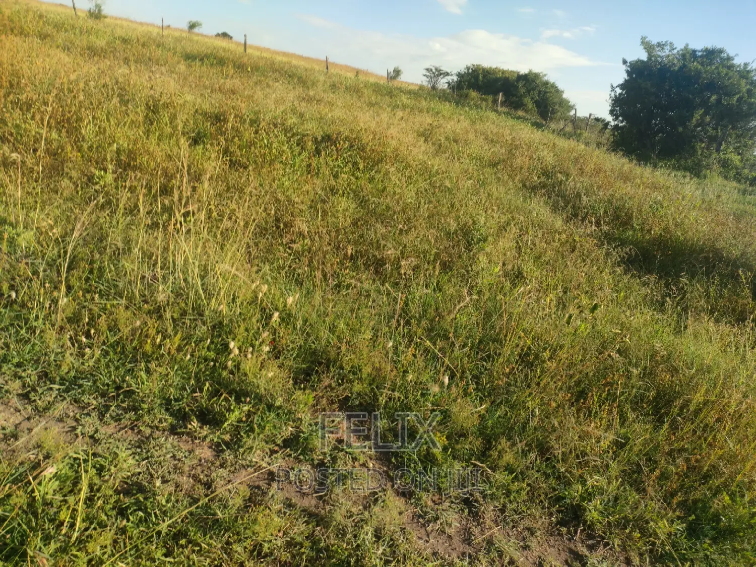 Mweiga/ Kanyagia 3 Acres
