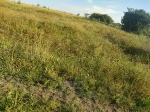 Mweiga/ Kanyagia 3 Acres