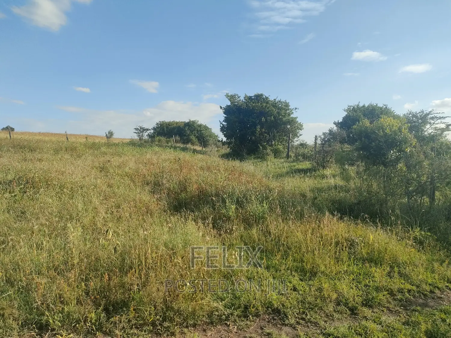 Mweiga/ Kanyagia 3 Acres