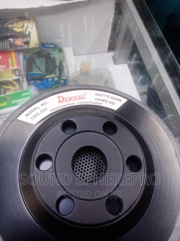 Derwel 12 DL202 12 Inch Naked Speaker