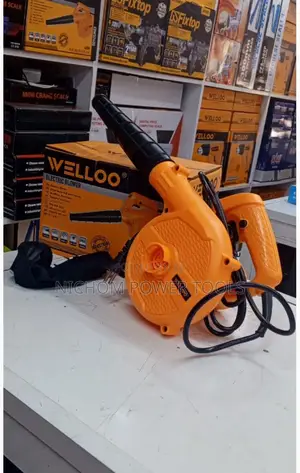 Welloo Electric Blower