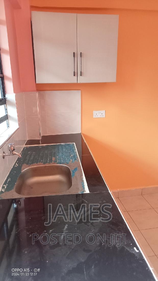 1bdrm Bedsitter in Ruaka for rent - thumbnail 3