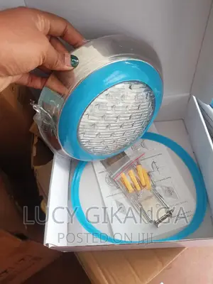 Wall Mount Light