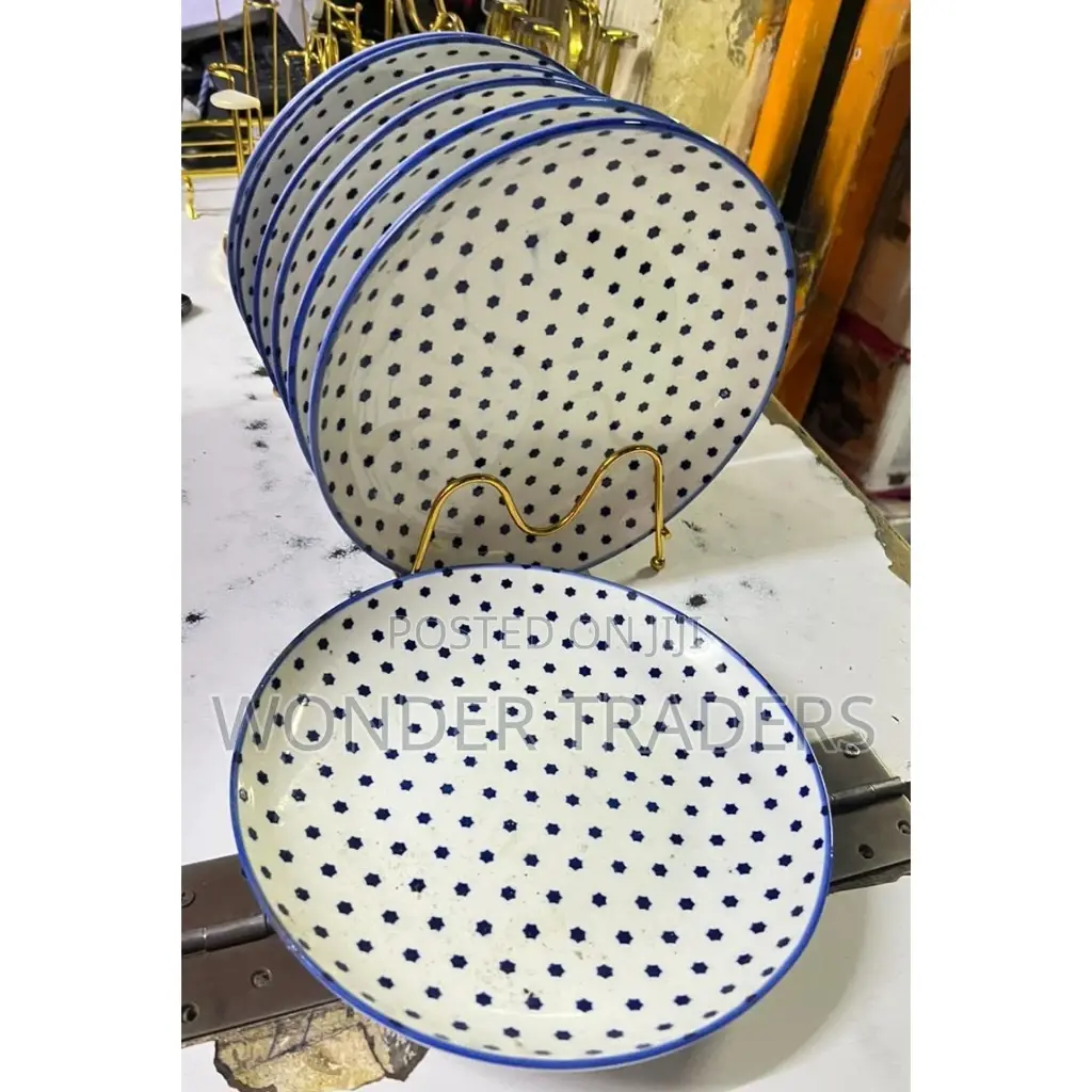 6pcs Ceramic Plates 10.5 Inch