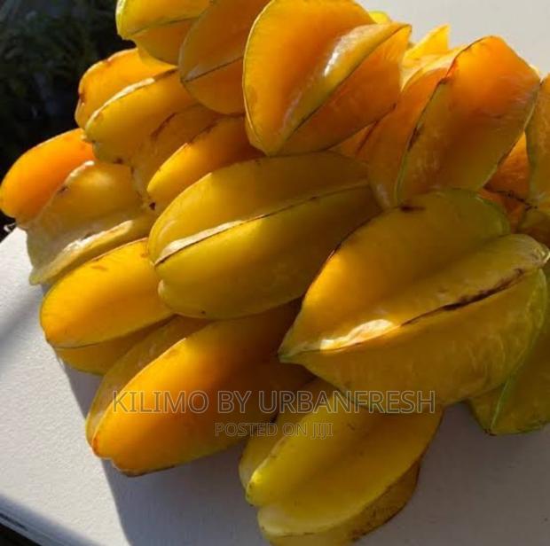 Starfruit Seedling. Moq 5 - main view