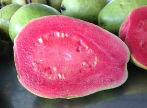 Pink Peruvian Guava - thumbnail 2