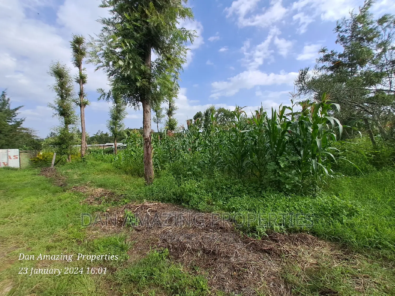 1/4 an Acre for Sale in Kiserian