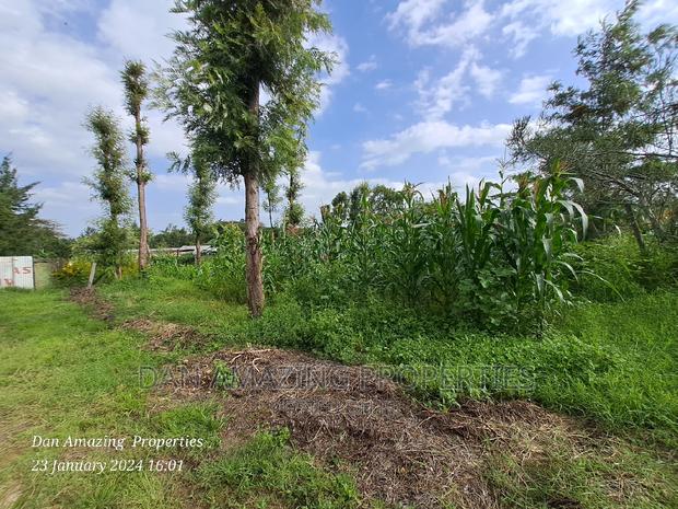 1/4 an Acre for Sale in Kiserian - thumbnail 7