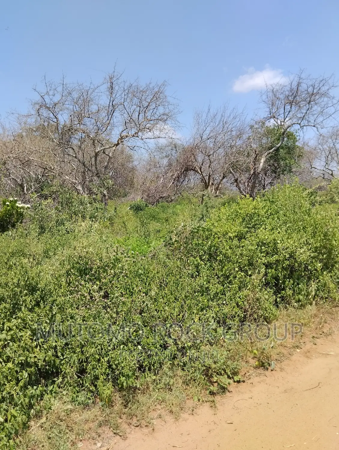 75acres for Sale