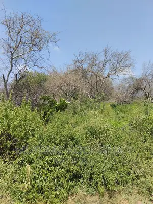 75acres for Sale