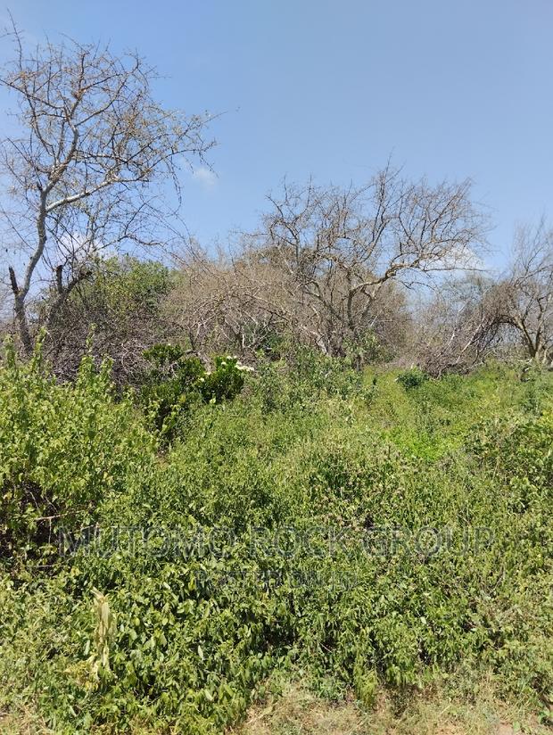 75acres for Sale - thumbnail 3