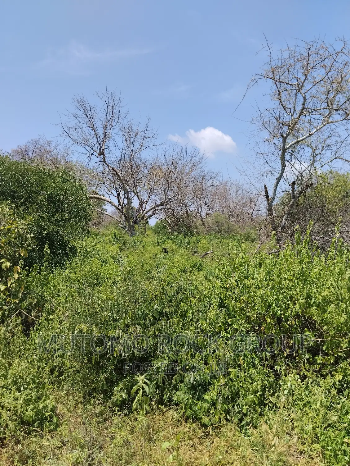 75acres for Sale