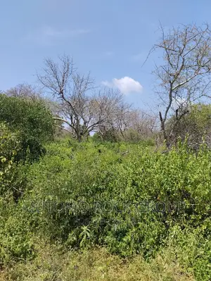 75acres for Sale