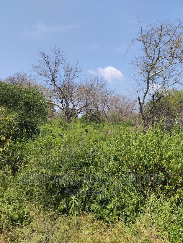 75acres for Sale - thumbnail 4