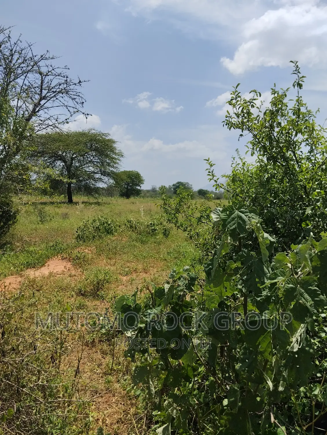 75acres for Sale