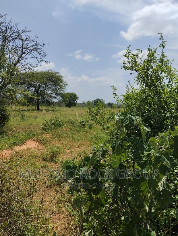 75acres for Sale - thumbnail 5