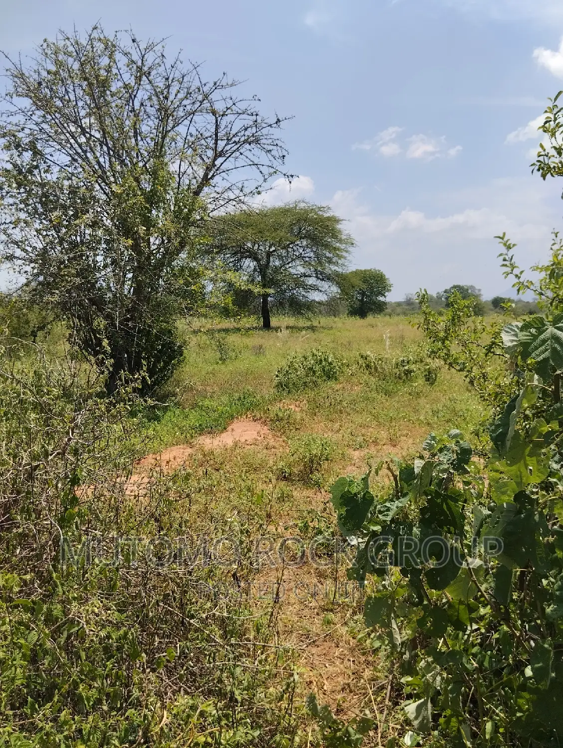 75acres for Sale