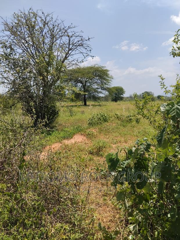 75acres for Sale - thumbnail 6