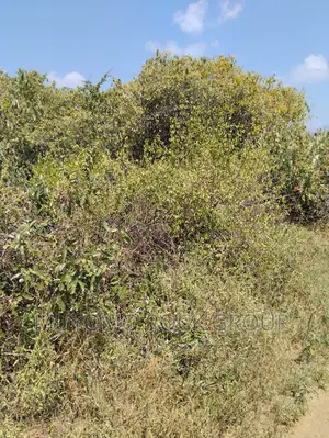 36acres for Sale