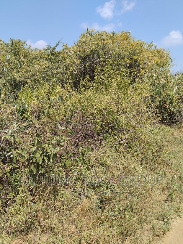 36acres for Sale - main view